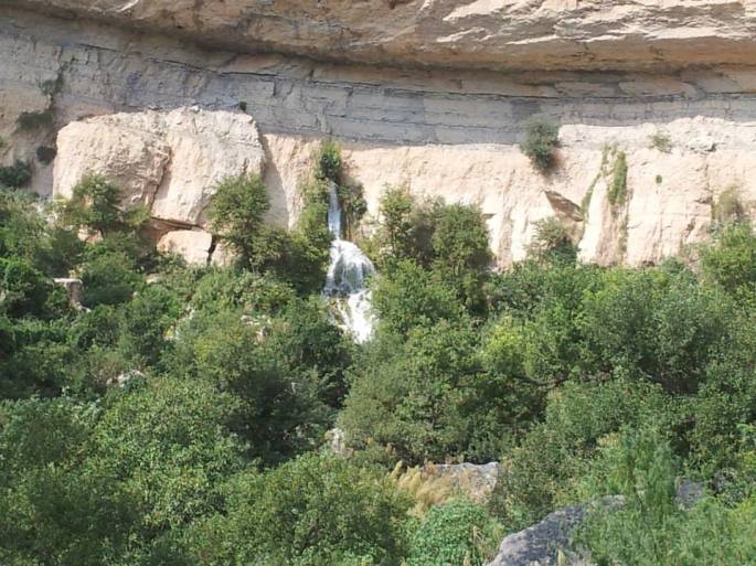 10277173_685359128195818_3487081337339798618_n (1)